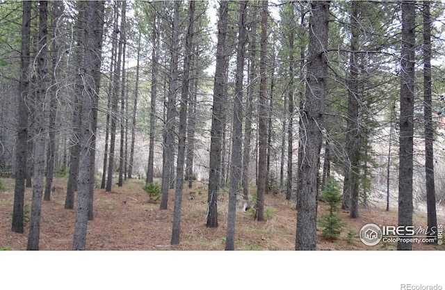 591 Tuscarora Way, Red Feather Lakes, CO 80545