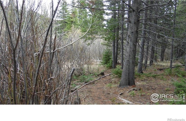 591 Tuscarora Way, Red Feather Lakes, CO 80545
