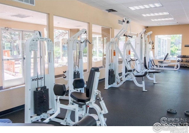 790 W Moorhead Cir # A, Boulder, CO 80305 - workout area with healthy amount of natural light and a paneled ceiling