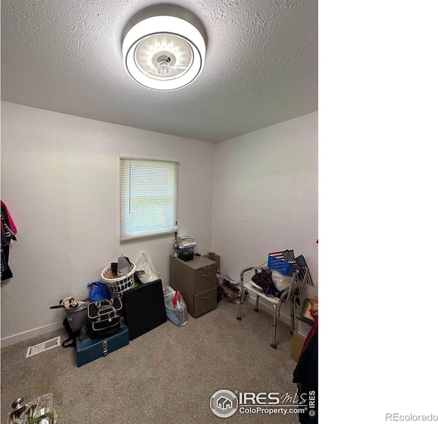 522 K Ave, Limon, CO 80828 - unfurnished office featuring a textured ceiling and carpet flooring