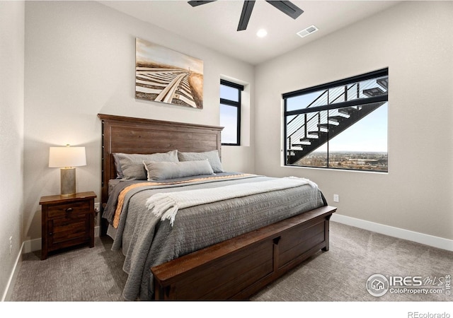 2089 Picture Pointe Dr, Windsor, CO 80550 - photo 29