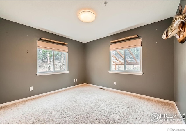 613 Ranch Rd, Ward, CO 80481 - carpeted spare room with a pendent fire sprinkler and baseboards