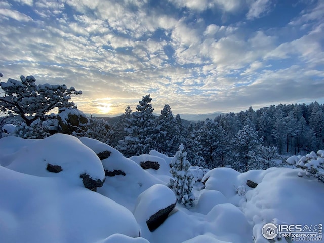 613 Ranch Rd, Ward, CO 80481 - snowy aerial view with a forest view