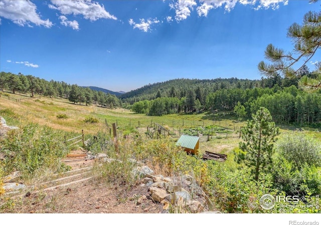 613 Ranch Rd, Ward, CO 80481 - view of mountain background with a heavily wooded area and rural landscape