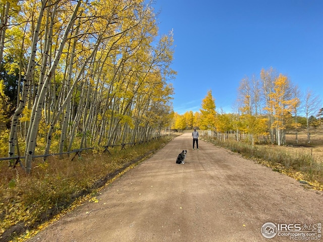 613 Ranch Rd, Ward, CO 80481 - view of dirt / gravel road