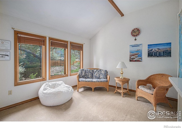 3441 W Dartmouth Ave, Denver, CO 80236 - sitting room with carpet floors and baseboards