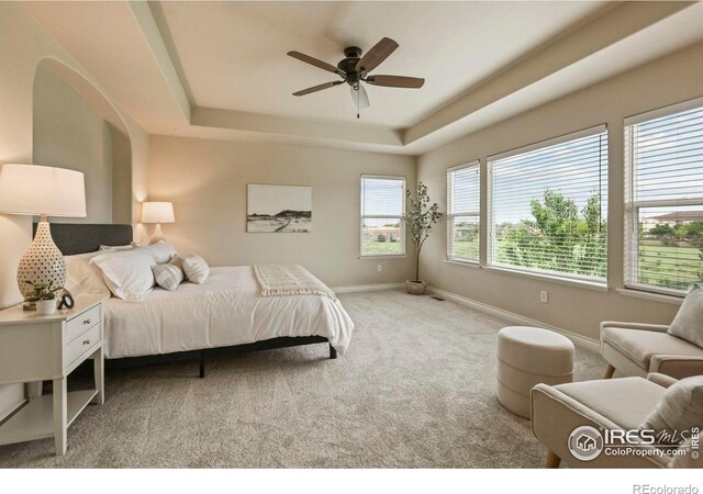 2315 Haymeadow Way, Fort Collins, CO 80525 - bedroom with a tray ceiling, carpet floors, baseboards, and a ceiling fan