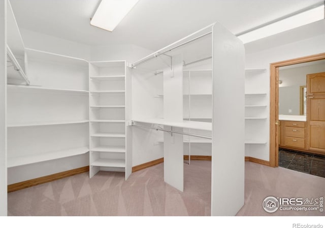 6239 Ashcroft Rd, Greeley, CO 80634 - walk in closet with carpet flooring
