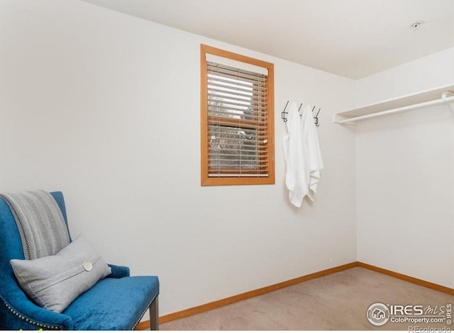 2802 Sundown Ln Unit 102, Boulder, CO 80303 - living area with baseboards and carpet floors