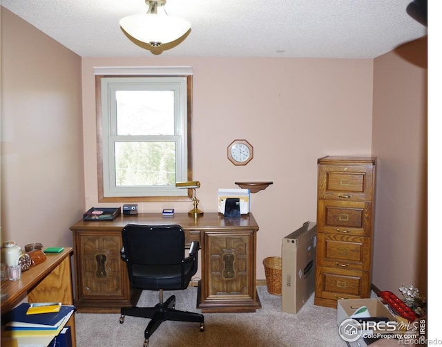 730 Spring St, Estes Park, CO 80517 - office area with light colored carpet