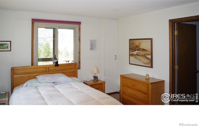 730 Spring St, Estes Park, CO 80517 - view of bedroom