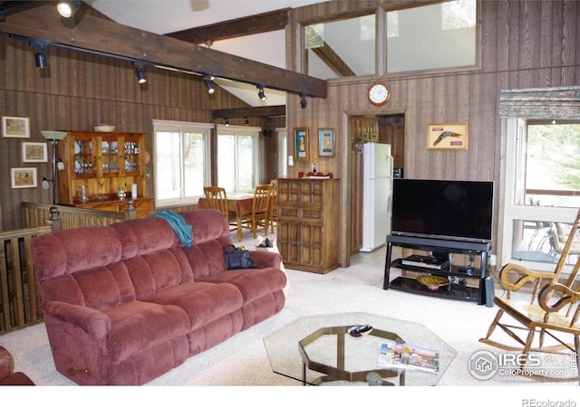 730 Spring St, Estes Park, CO 80517 - living area with light colored carpet, wood walls, high vaulted ceiling, beamed ceiling, and track lighting
