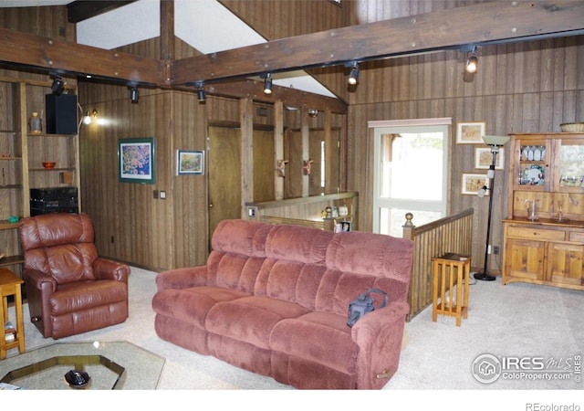 730 Spring St, Estes Park, CO 80517 - carpeted living area featuring wood walls