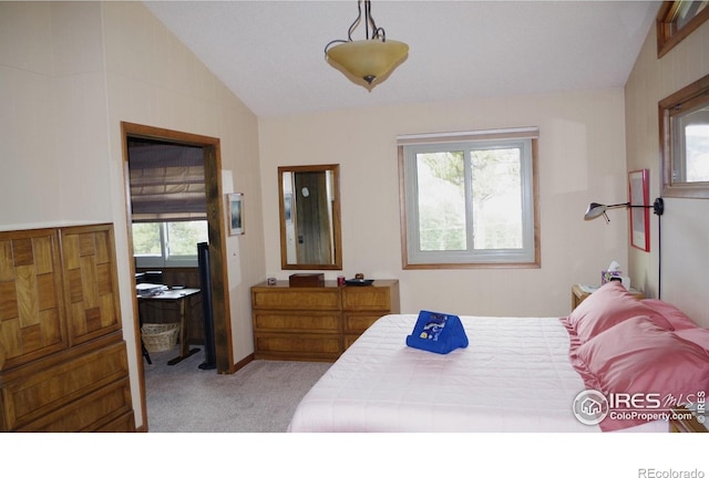 730 Spring St, Estes Park, CO 80517 - carpeted bedroom with lofted ceiling and multiple windows