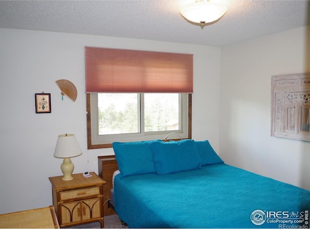 730 Spring St, Estes Park, CO 80517 - bedroom featuring a textured ceiling and carpet flooring