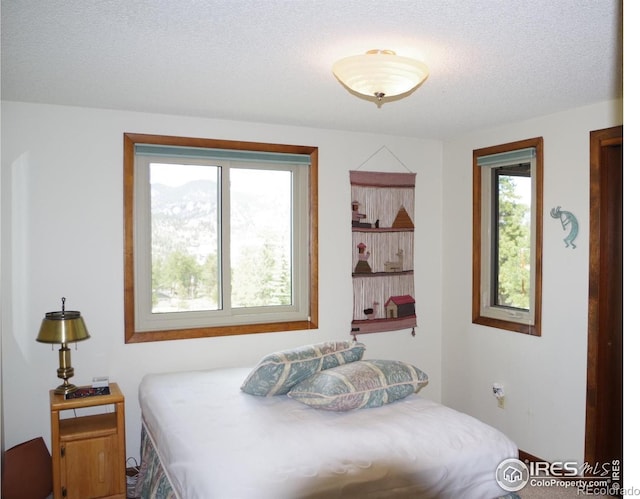 730 Spring St, Estes Park, CO 80517 - bedroom featuring a textured ceiling