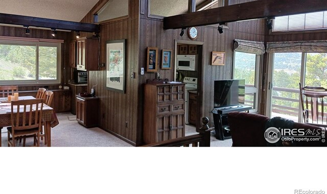 730 Spring St, Estes Park, CO 80517