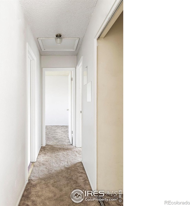 8125 Downing St, Denver, CO 80229