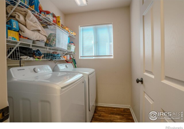1675 Prairie Hill Dr, Fort Collins, CO 80528 - photo 14