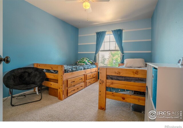 1675 Prairie Hill Dr, Fort Collins, CO 80528 - photo 21
