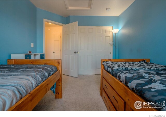 1675 Prairie Hill Dr, Fort Collins, CO 80528 - photo 22