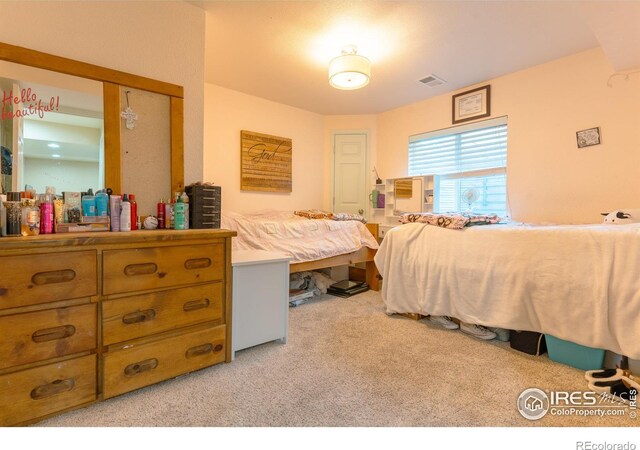 1675 Prairie Hill Dr, Fort Collins, CO 80528 - photo 28