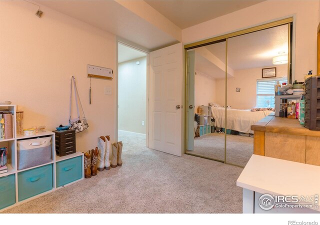 1675 Prairie Hill Dr, Fort Collins, CO 80528 - photo 29
