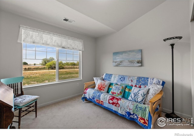 4665 Hahns Peak Dr Unit 203, Loveland, CO 80538 - photo 29