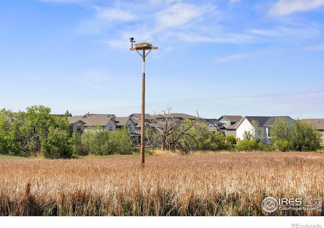 4665 Hahns Peak Dr Unit 203, Loveland, CO 80538 - photo 35