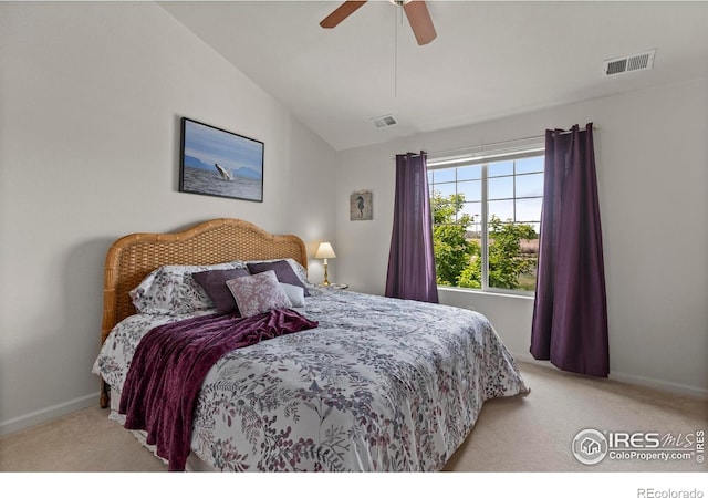 4665 Hahns Peak Dr Unit 203, Loveland, CO 80538 - photo 24