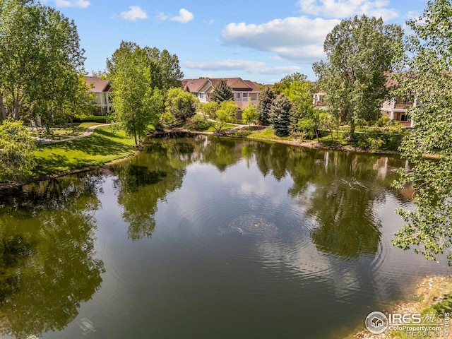 4665 Hahns Peak Dr Unit 203, Loveland, CO 80538 - photo 37