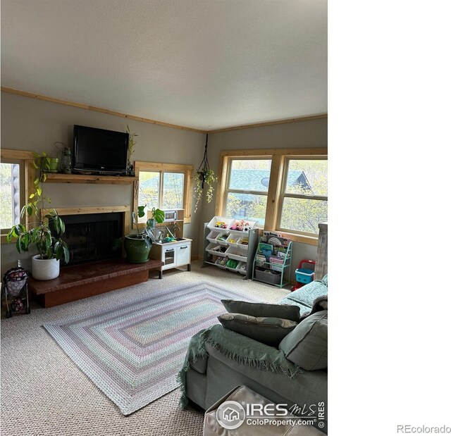 175 Ironclad View Rd, Allenspark, CO 80510