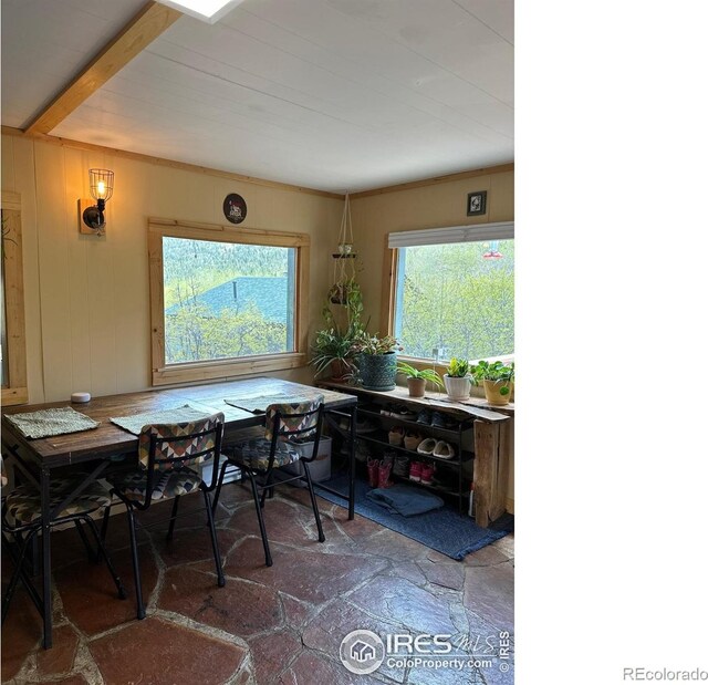 175 Ironclad View Rd, Allenspark, CO 80510