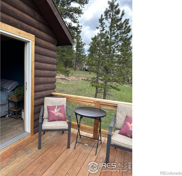 175 Ironclad View Rd, Allenspark, CO 80510