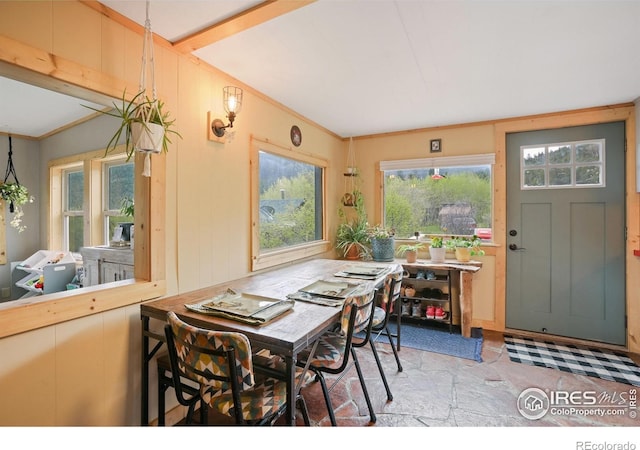 175 Ironclad View Rd, Allenspark, CO 80510 - photo 4