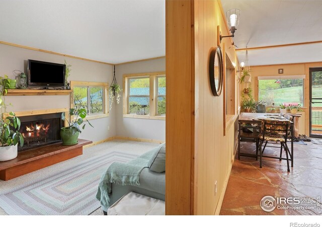 175 Ironclad View Rd, Allenspark, CO 80510 - photo 14