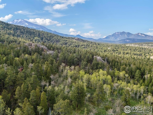 175 Ironclad View Rd, Allenspark, CO 80510 - photo 17