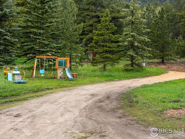 175 Ironclad View Rd, Allenspark, CO 80510 - photo 18