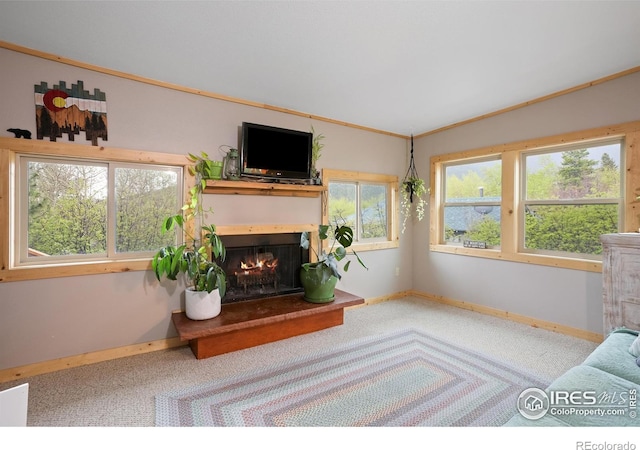 175 Ironclad View Rd, Allenspark, CO 80510 - photo 3