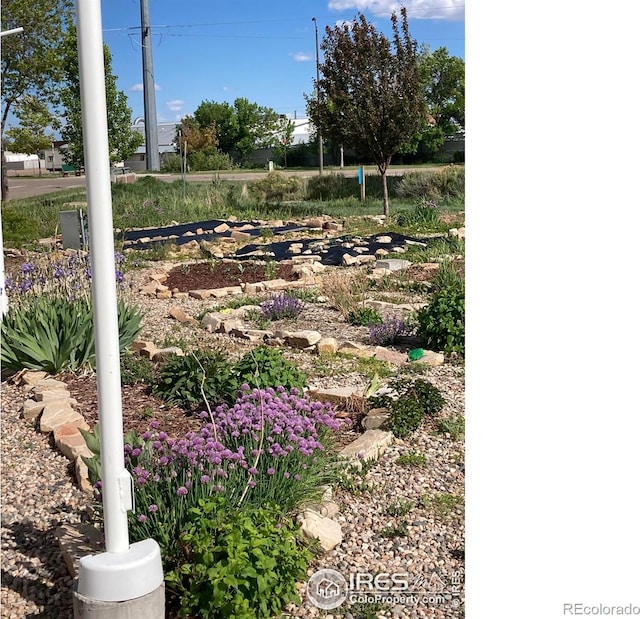 232 Pascal St, Fort Collins, CO 80524