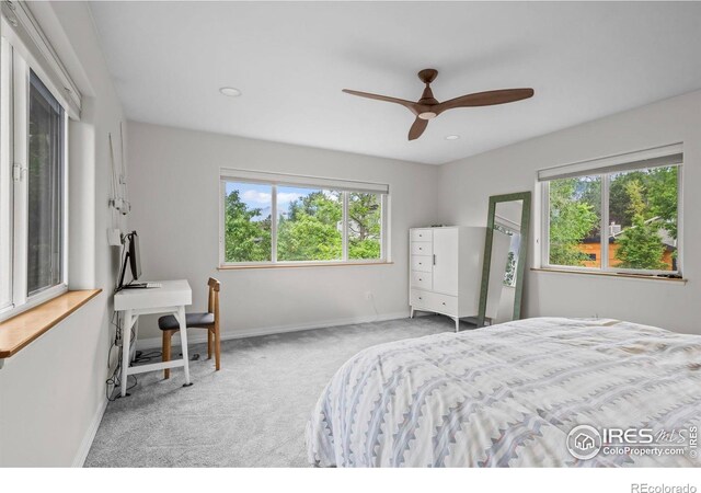 1409 Quince Ave, Boulder, CO 80304 - bedroom with multiple windows, carpet, baseboards, a ceiling fan, and recessed lighting