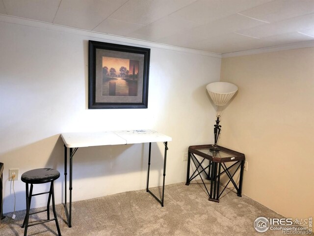 402 N Washington Ave, Fleming, CO 80728 - carpeted home office featuring crown molding