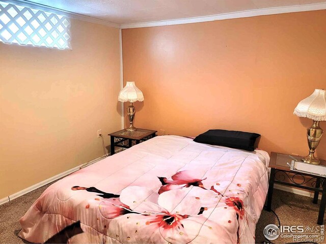 402 N Washington Ave, Fleming, CO 80728 - carpeted bedroom with crown molding and baseboards