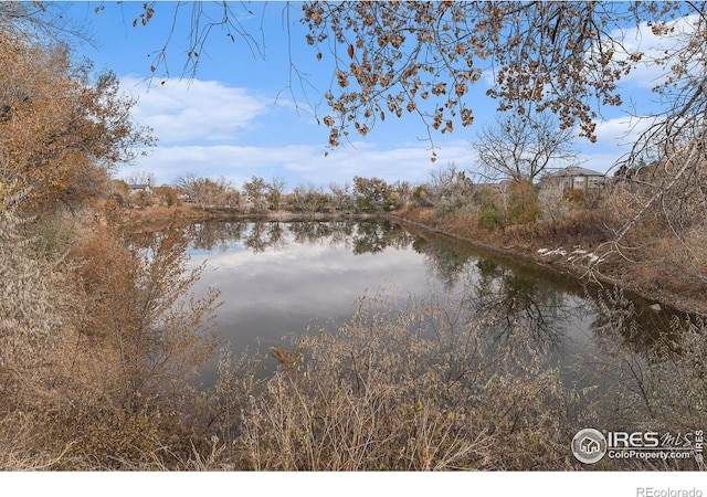 3580 W 62nd Pl, Denver, CO 80221 - water view
