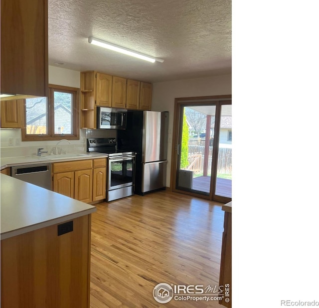 1126 Patricia Dr, Loveland, CO 80537 - kitchen with appliances with stainless steel finishes, a sink, open shelves, light countertops, and plenty of natural light