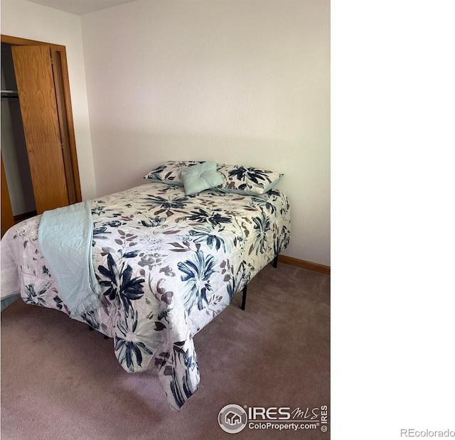 1126 Patricia Dr, Loveland, CO 80537 - bedroom with carpet flooring and a closet