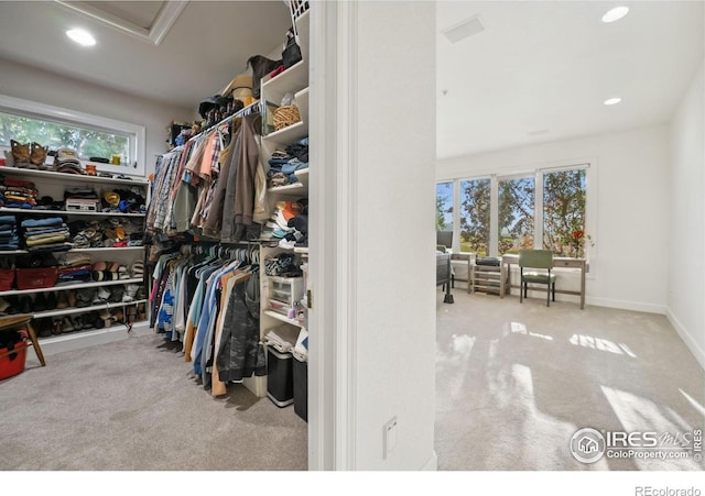 3401 E County Road 16, Loveland, CO 80537 - spacious closet featuring carpet floors and attic access