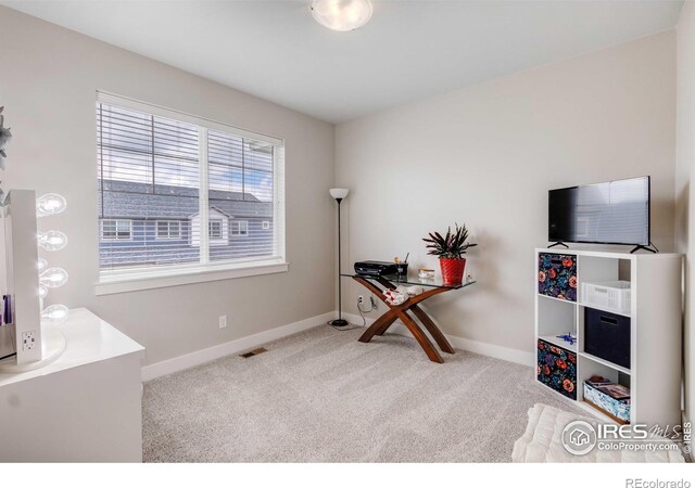 4112 Greenhorn Dr, Loveland, CO 80538 - photo 22