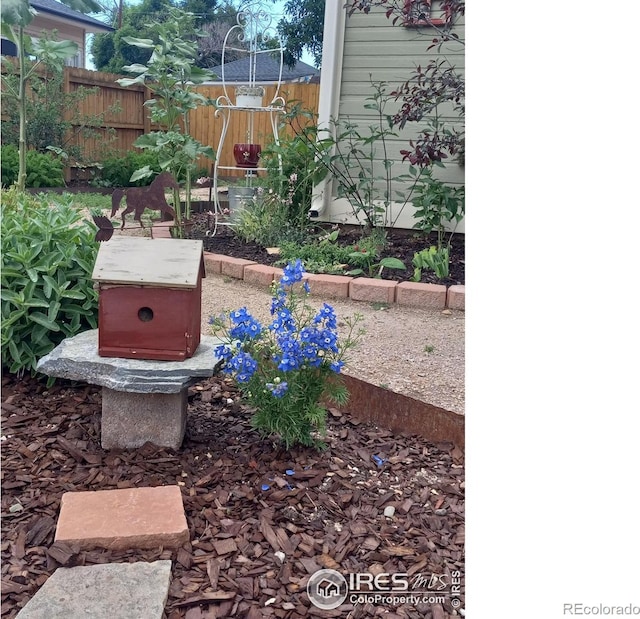 3730 Garfield Ave, Wellington, CO 80549 - view of yard