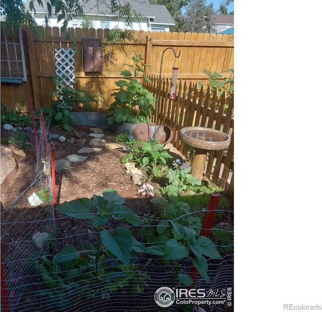 3730 Garfield Ave, Wellington, CO 80549 - view of yard